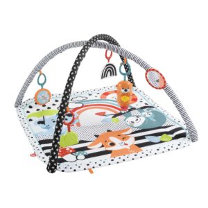 Fisher-Price HBP41 — vue du produit 1