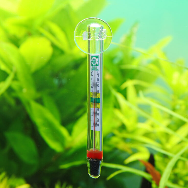 JBL Aquarium Thermometer Float — vue du produit 3